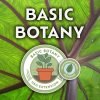 Basic Botany graphic with the text “Basic Botany” over a close-up of a green leaf, featuring a circular “Basic Botany – USU