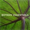 Botany Essentials